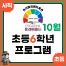 씨엔에이논술배움터학원