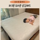 킹세탁 | 듀라론 냉감패드 파크론 휴비스 듀라론 쿨매트 후기 (킹사이즈,세탁 방법)