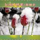 최*춘 - 가평군 백둔로 | 최*춘