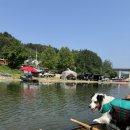 정미목장 | 뺑오쇼콜라 감별사가 되고픈 멍집사의 6월 일기