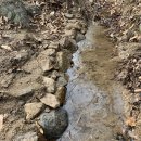 씨돌농장 이미지