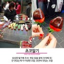 명동먹거리 이미지