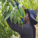 김천시문화회관 이미지