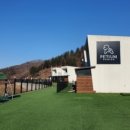 펫티움애견펜션 이미지