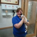 콩닥 동물병원 이미지