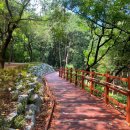 용지호수공원 이미지