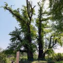 순흥도호부 유물 이미지