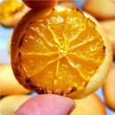 엔트로피발전소 이미지