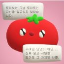 [수원]제철쌈밥 한식 맛집 후기
