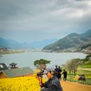 지리산봄날 | 구례 여행가 지리산치즈랜드 수선화 전남 구례 가볼만한곳