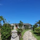 솔레올레 이미지