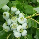 현주농장 이미지