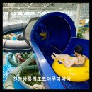 (주)상록주유소 | 워터파크 추천 천안 천안상록리조트아쿠아피아 가성비와 시설 만족도 최고
