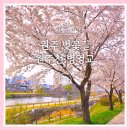 원주천3길 이미지