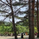 장흥숲길캠핑장 이미지