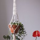 마크라메 벽걸이(행잉)만들기 이미지