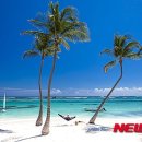 (주)플러스메드 이미지