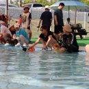 도그월드 이미지