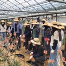 도청농장 이미지