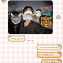 호주 브리즈번 워홀 D+18~24 도서관 다니고 놀고 먹는 일상