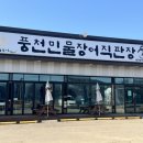 풍천손가네민물장어 | 용인 장어명가풍천민물장어직판장 후기 (한화리조트 용인 비잔동 맛집)