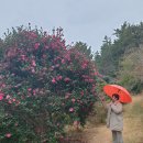 수림농장 이미지