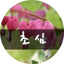 초심유통