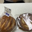 휴학의 끝을 잡고: 삼일한 제주 일기