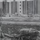 여행 중국어 이미지