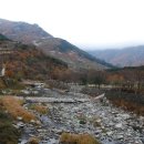 표충사주차장 이미지