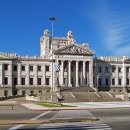 강아지 대통령 이미지