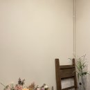 플로라시우 이미지