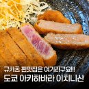 11650-17-195-1 | 도쿄 아키하바라 규카츠 맛집 이치니산 n번째 후기 웨이팅 꿀팁
