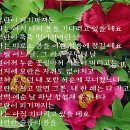 백민의원 | 모란이 피기까지는 .
