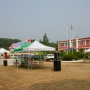 영순초등학교 이미지