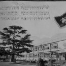 밀양여자중학교 이미지