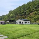 홍스테이 이미지