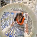 초이스태권도장 이미지