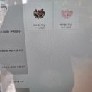 카페요아정고양