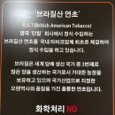 롤로타바코(전자담배) 티스토리