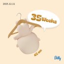 더(The)튼튼약국 | 35주차 임산부 일상 | 35주차 증상, 임산부 비염, 민간요법, 아기옷장 정리, 약국 노즈큐어 구매