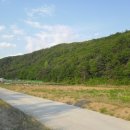 하천리-1 이미지