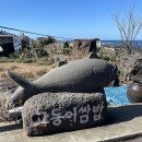 스테이뵤뵤 | 이춘옥원조고등어쌈밥, 랜디스, 노티드, 곽지해변, 우무, 뵤뵤, 춘심이네 통갈치구이, 골든데이지 호텔)