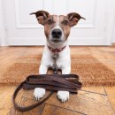 24시 산들산들 동물병원 이미지