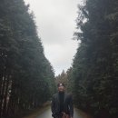 남조로주유소
