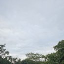 대복가든 이미지