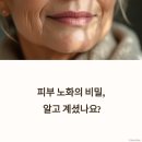 피부 노화 방지를 위한 자연 성분 화장품 추천: 건강하고 아름다운 피부를 위한 선택
