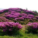 지곡유원지 이미지