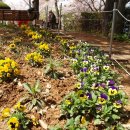 거북공원-1 이미지