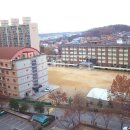 야탑중학교 이미지